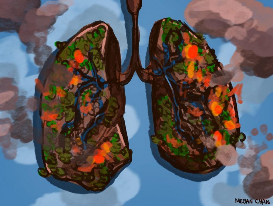 Opinion: Smoke-Filled Lungs