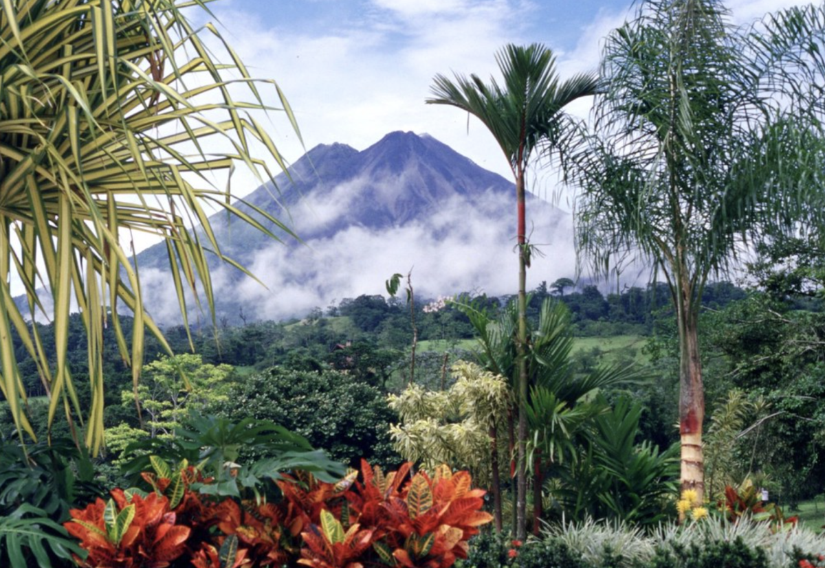 A+view+of+lush+forest+in+Costa+Rica.