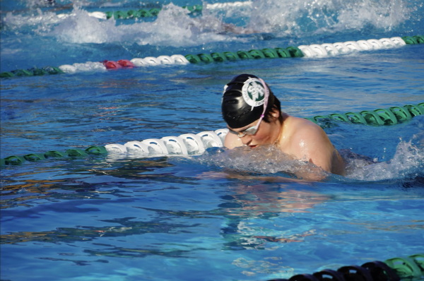 Junior Rodin Zarrabi swims breaststroke during a home meet.