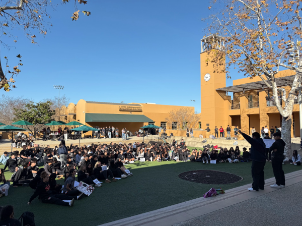 Seniors Isaac Alegria and Kian Khazei speak at a student sit-in protesting ICE on Jan. 30, 2026.