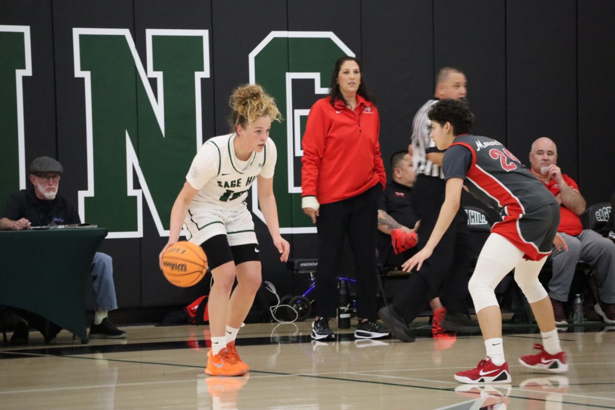 Senior Amalia Holguin (10) faces off with the Mater Dei Monarchs on Feb. 18.